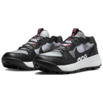 Nike ACG Lowcate SE