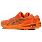 Asics GT-2000 10