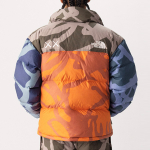 THE NORTH FACE x KAWS 1996 Nuptse 700