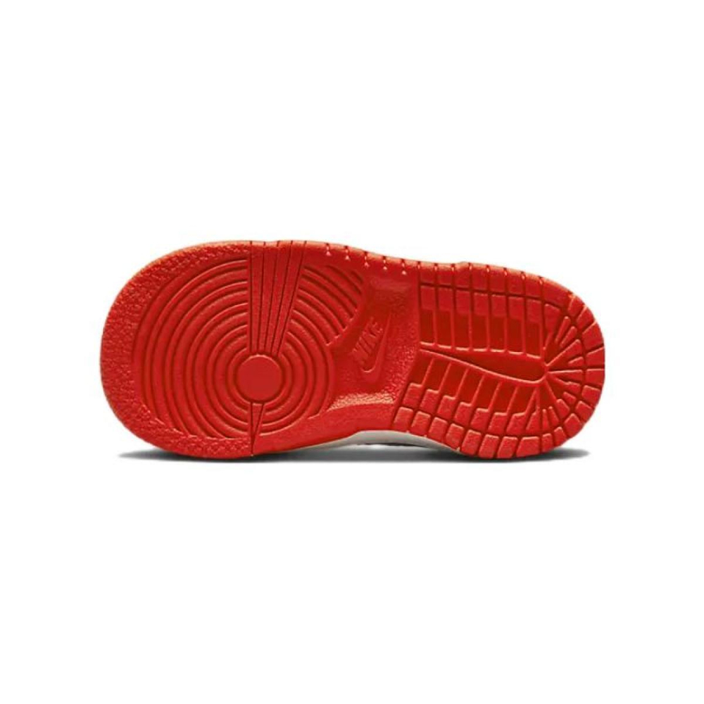 Nike Dunk TDE
