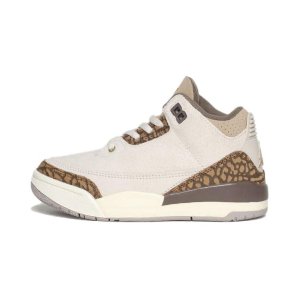 Jordan Air Jordan 3