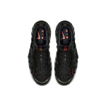 Nike Foamposite Pro Sequoia