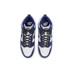 Nike Dunk High