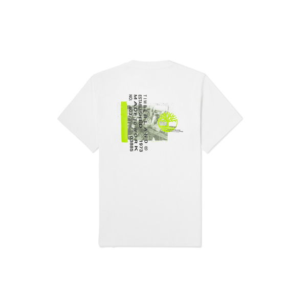 Timberland T