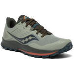 Saucony Peregrine 10