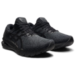 Asics GT-2000 10 2E