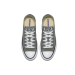 Converse Chuck Taylor All Star Seasonal Color Low Top