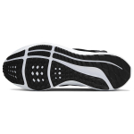 Nike Pegasus FlyEase