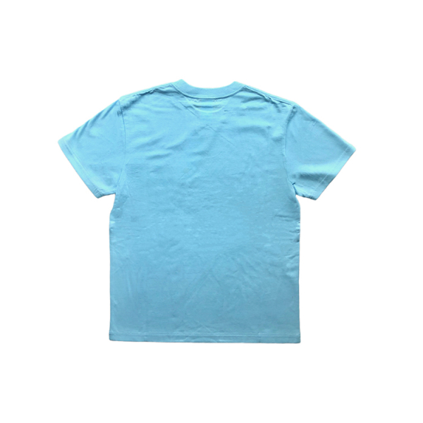 Thrasher Flame Tee T