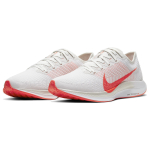 Nike Pegasus turbo 2