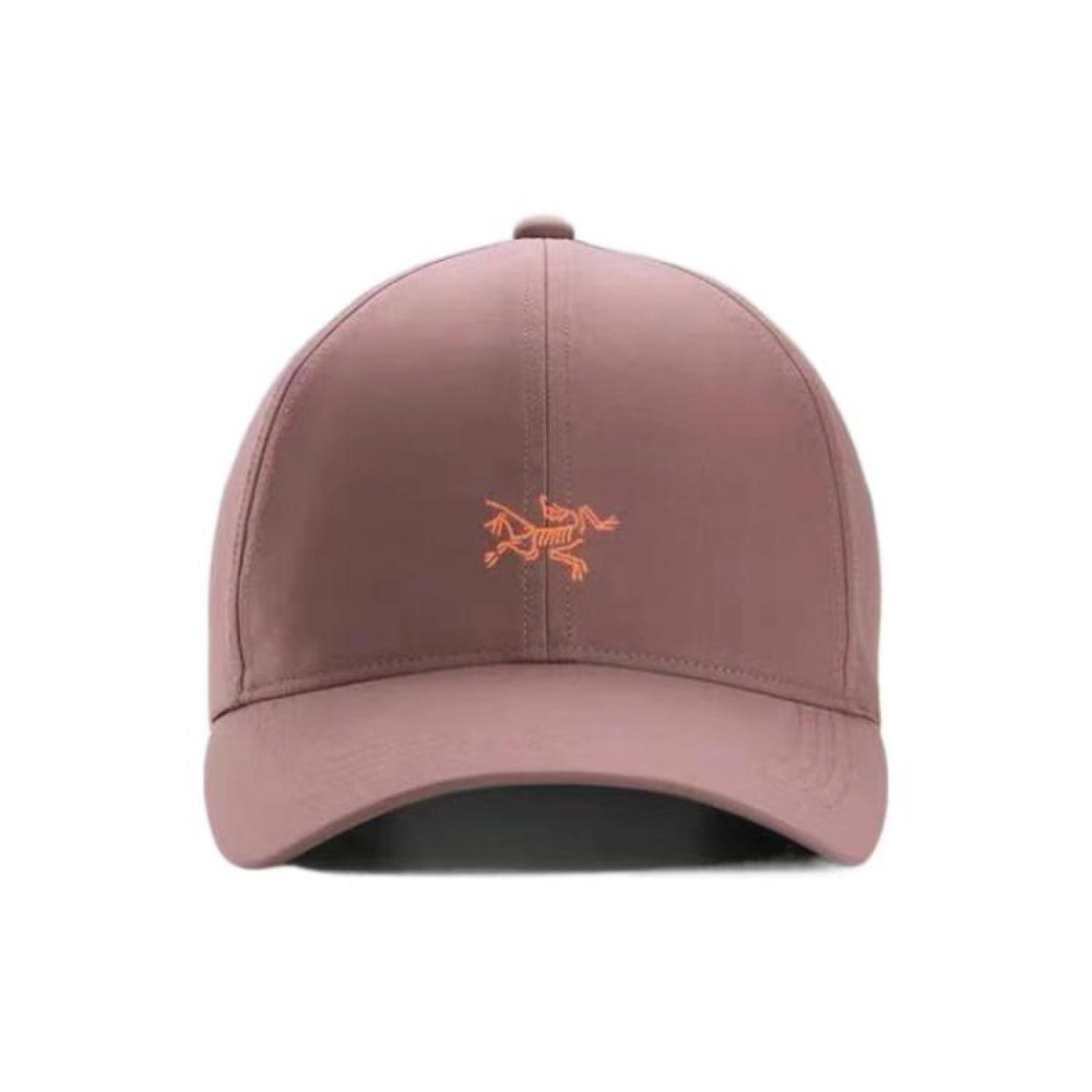 Arcteryx Logo / /