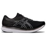 Asics EvoRide 2