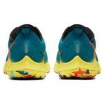 Nike Pegasus 36