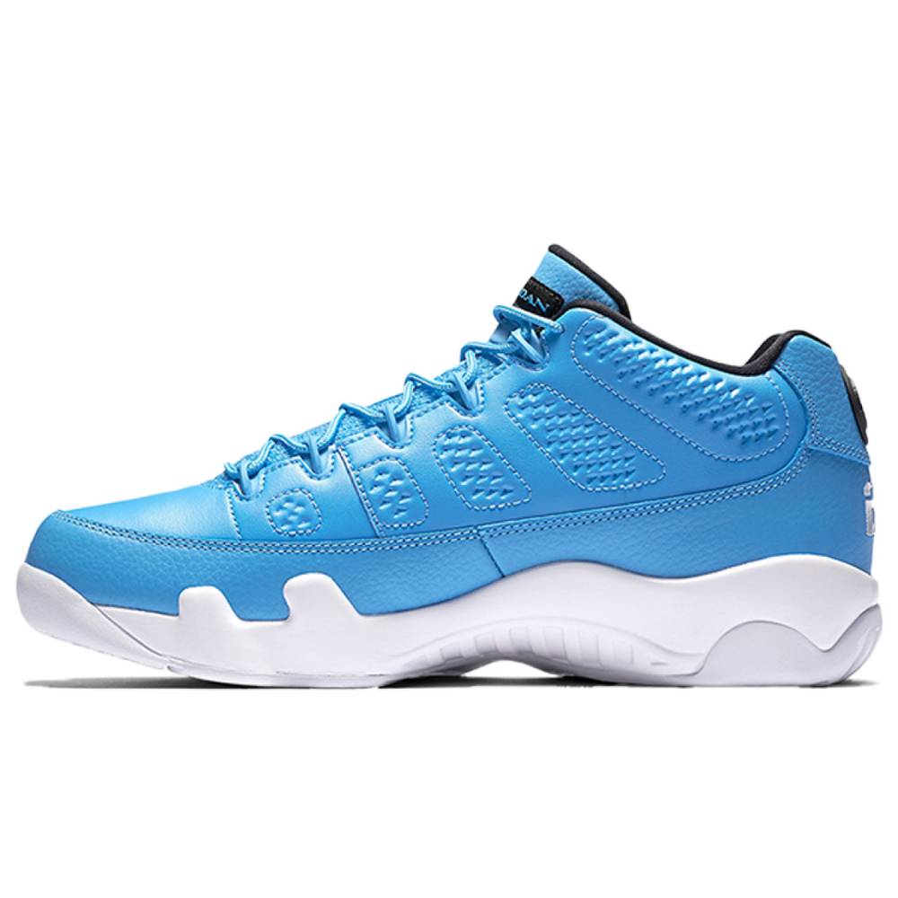 Jordan Air Jordan 9 Retro Low Pantone