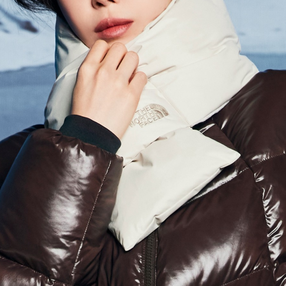 THE NORTH FACE
