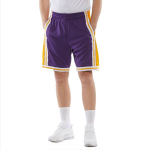 Mitchell & Ness NBA SW 84-85 logo
