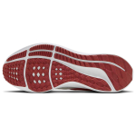 Nike Air Zoom Pegasus 39
