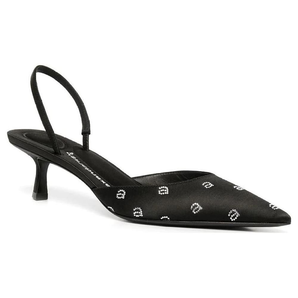 Alexander wang Delphine 65