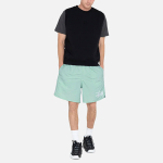 Stussy FW24 WATER SHORT BIG BASIC Logo
