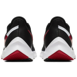 Nike Zoom Winflo 6