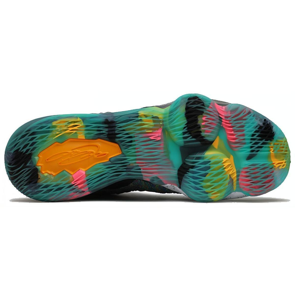 Nike Lebron 17 I Promise