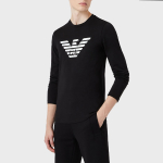 EMPORIO ARMANI FW21 Logo T