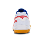 Mizuno Gate Sky Plus2