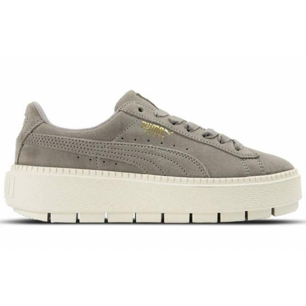 PUMA Platform Trace