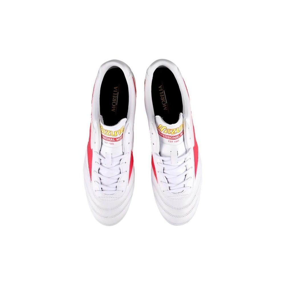 Mizuno Pro 2 Pro AG（ ）