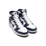 Nike Dunk SB Future Court Obsidian