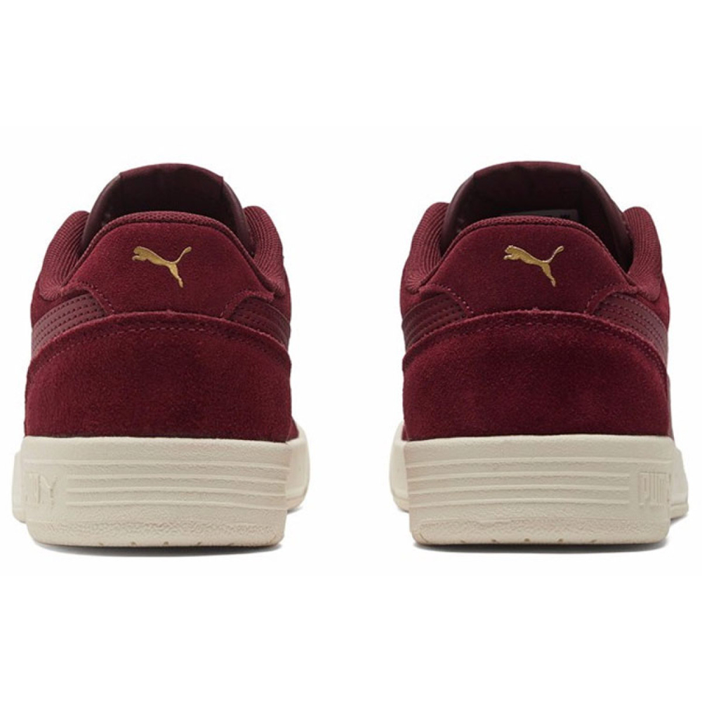PUMA Caracal