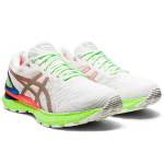 Asics GEL-Nimbus 22