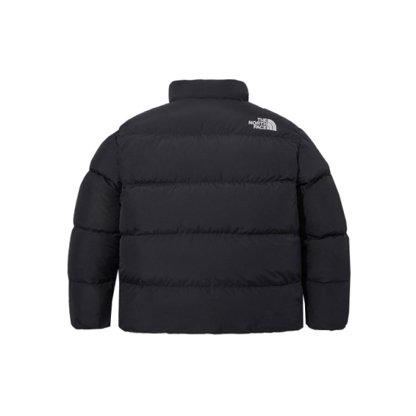 THE NORTH FACE LOFTY DOWN JACKET V2