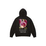 Supreme FW23 Box Logo Hooded Sweatshirt