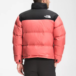 THE NORTH FACE 1996 Retro Nuptse 700
