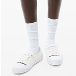 Alexander wang Dropout