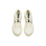 Anta