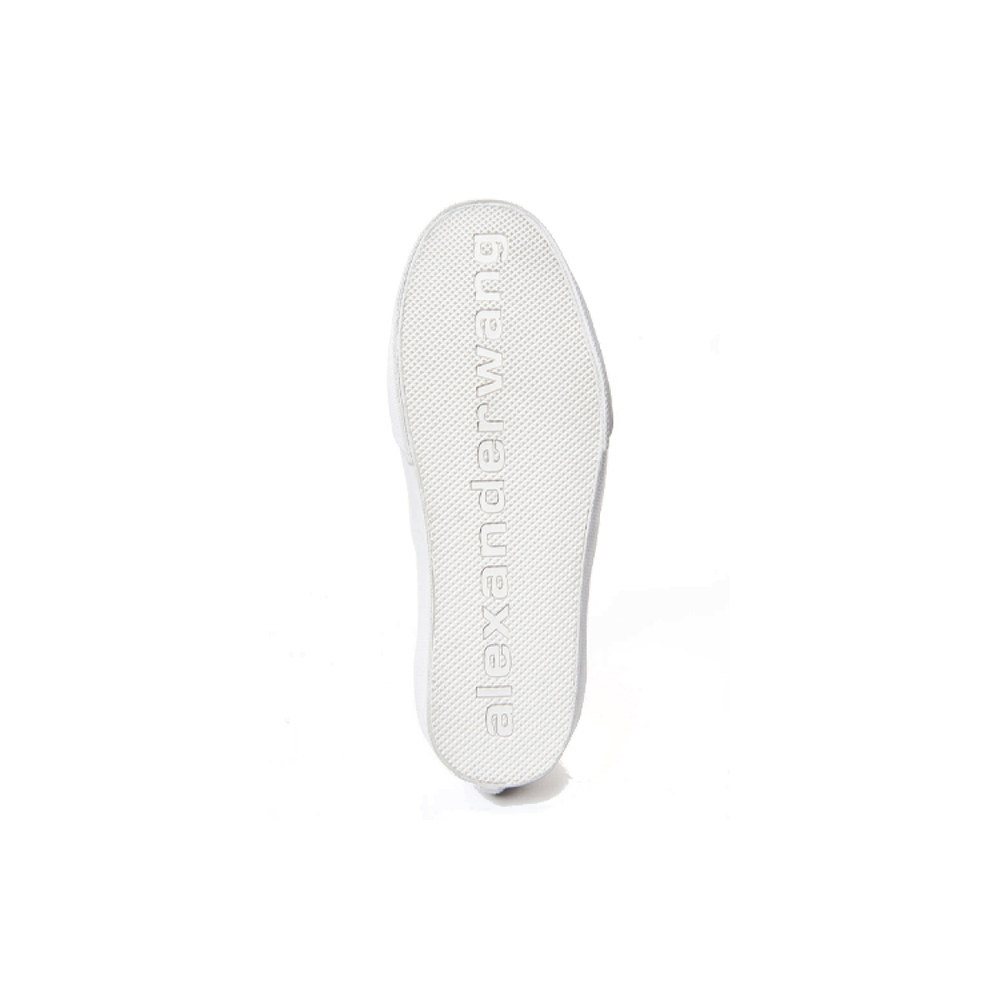 Alexander wang Dropout