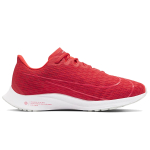 Nike Zoom Rival Fly 2