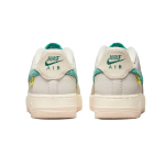 Nike Air Force 1 Test Of Time GS
