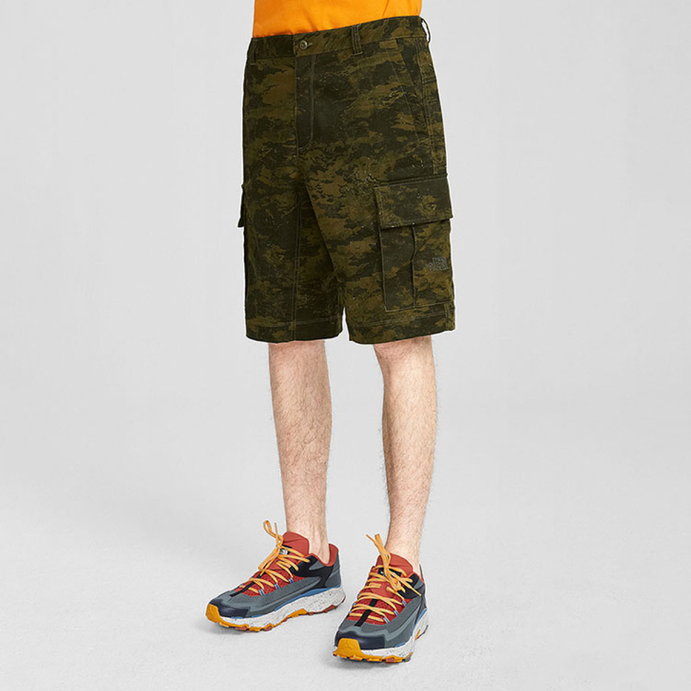 THE NORTH FACE