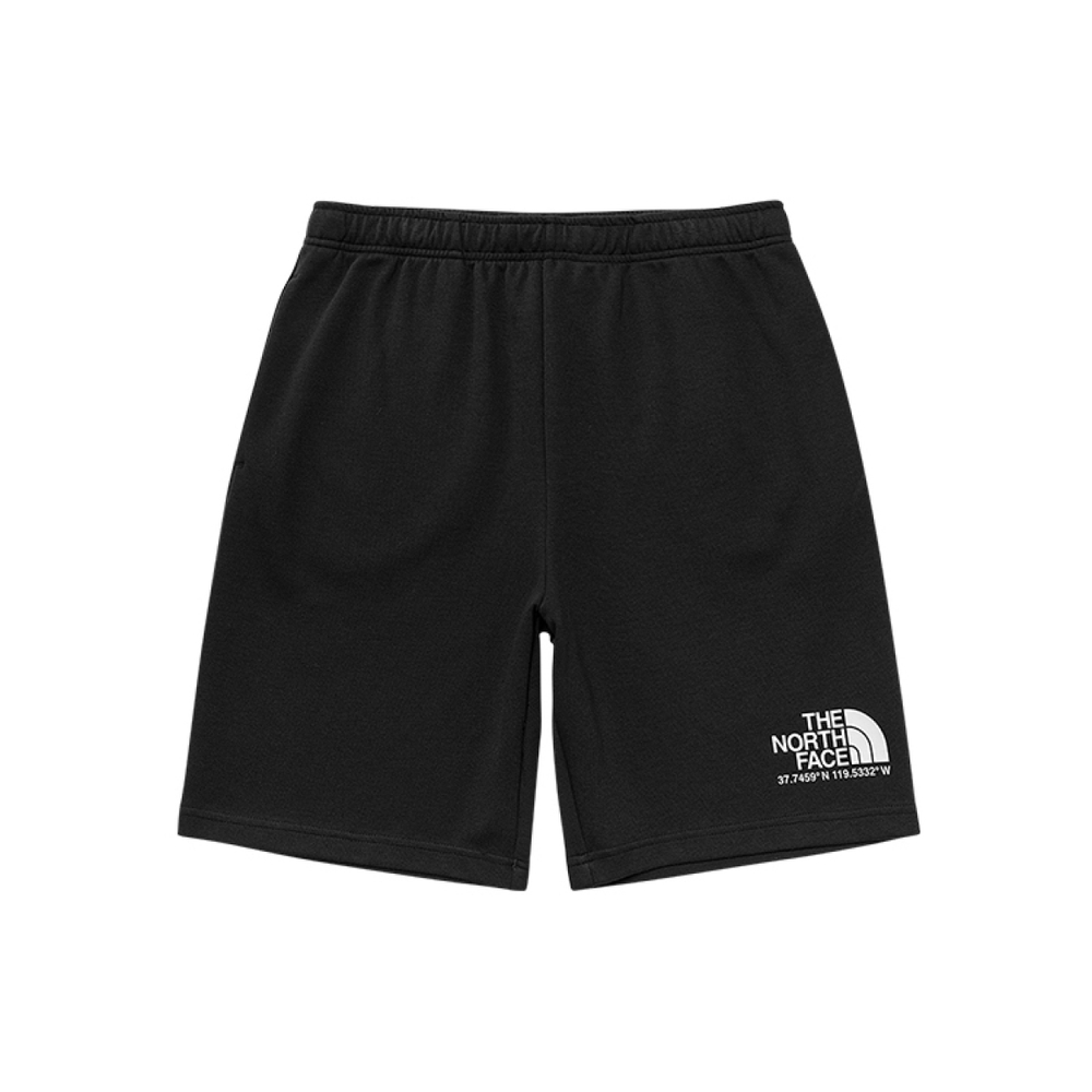 THE NORTH FACE Logo T +