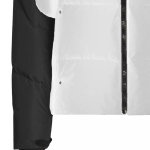 Polo Ralph Lauren Logo