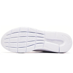 Anta