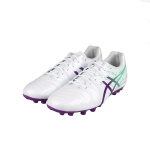 Asics DS LIGHT AG（ ）