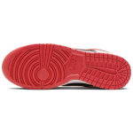 【 】 Nike Dunk