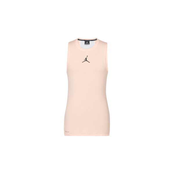 Jordan Air 23 Alpha Dri-fit logo