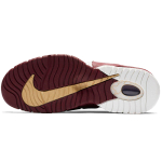 Nike Air Max Penny 1 House Party