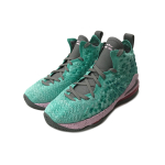 Nike Lebron 17 “South Beach”