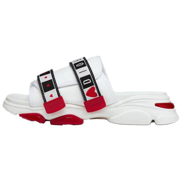 DIOR D-Wander